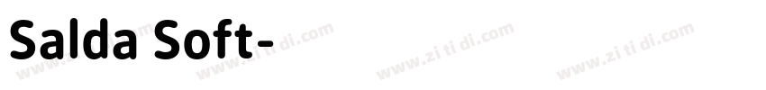 Salda Soft字体转换